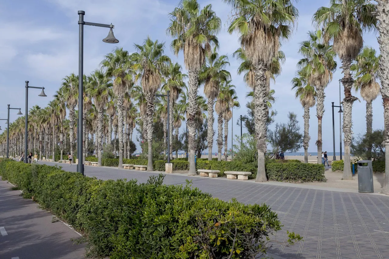 living - 85m² apartment for sale in Playa Malvarrosa/Cabanyal - gallery - 8