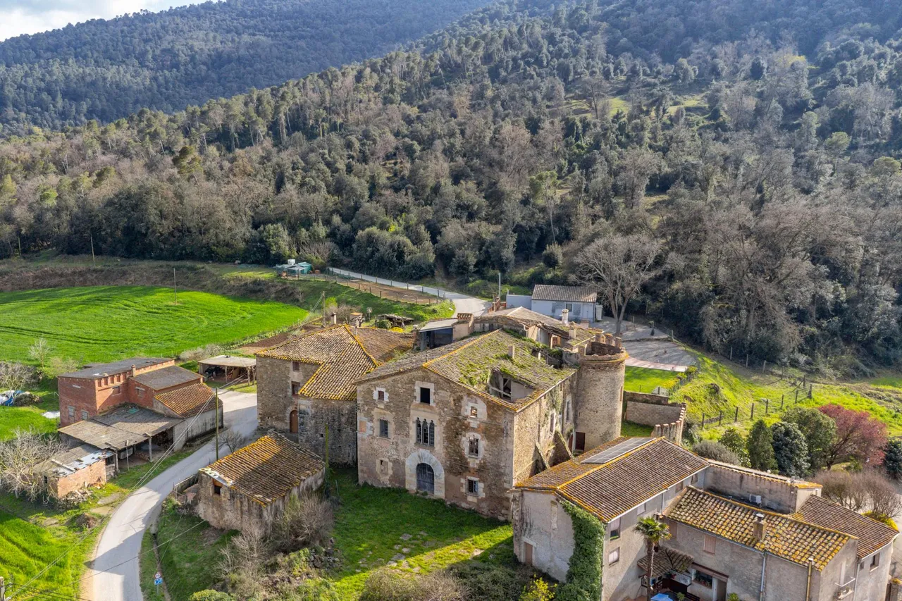 living - 680m² castle / palace for sale in Pla de l'Estany, Girona - gallery - 9