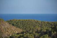 living - 600m² house / villa for sale in Santa Eulalia - gallery thumbnail - 4