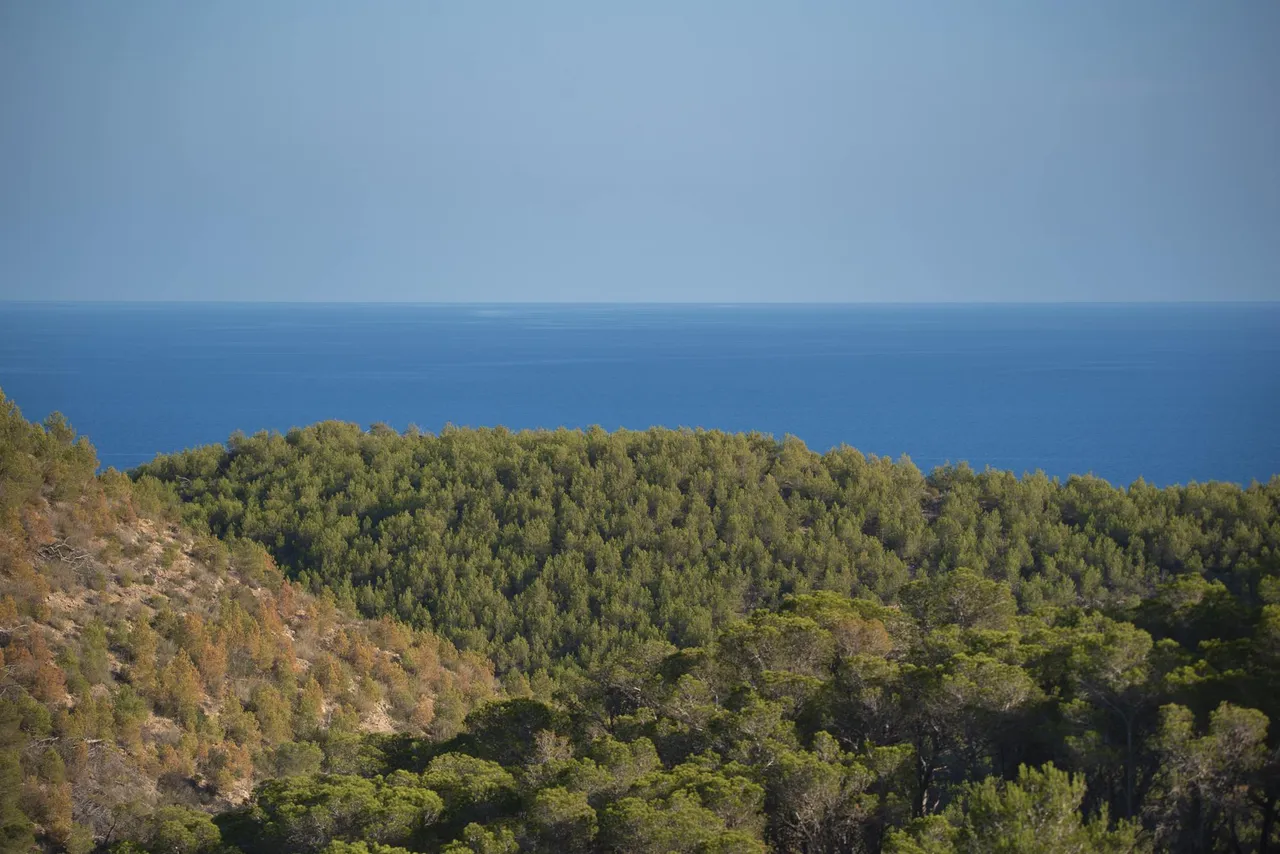 living - Casa / villa de 600m² en venta en Santa Eulalia - gallery - 4