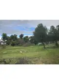 living - 4,080m² plot for sale in Majadahonda, Madrid - gallery thumbnail - 7