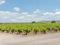 living - 220m² house / villa for sale in Valencia Region, Valencia - gallery thumbnail - 5