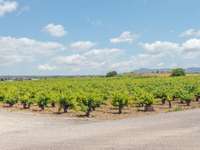 living - Casa / villa de 220m² en venta en Valencia Region, Valencia - gallery thumbnail - 5