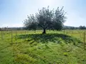 living - Parcela de 23,114m² en venta en San Antonio, Islas Baleares - gallery thumbnail - 6