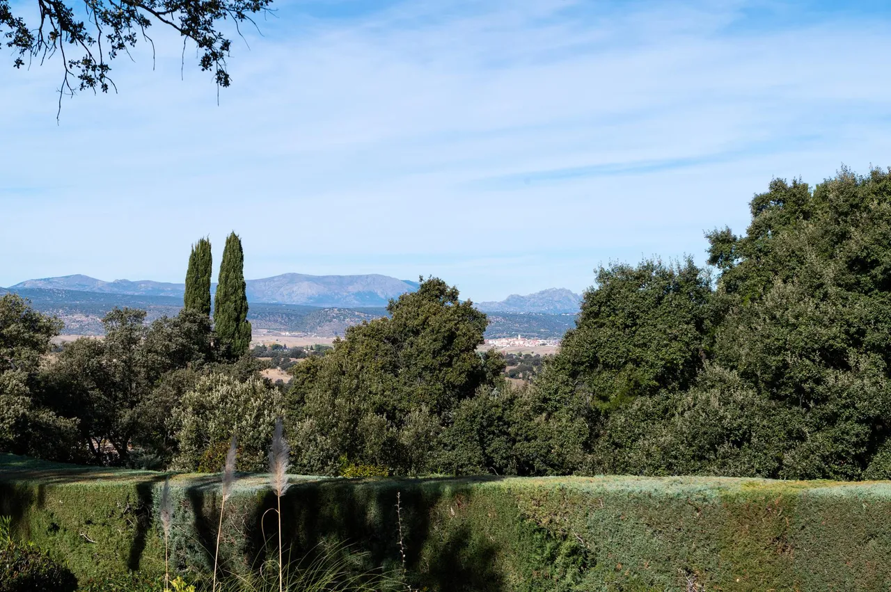 living - Casa / villa de 726m² en venta en Ciudalcampo, Madrid - gallery - 9