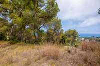 living - Parcela de 800m² en venta en Blanes, Costa Brava - gallery thumbnail - 5