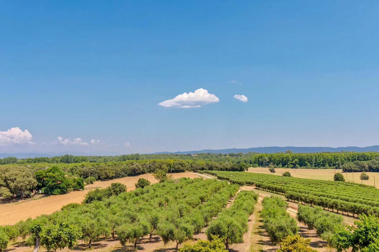 living - Finca en venta en El Gironés, Girona - gallery - 3