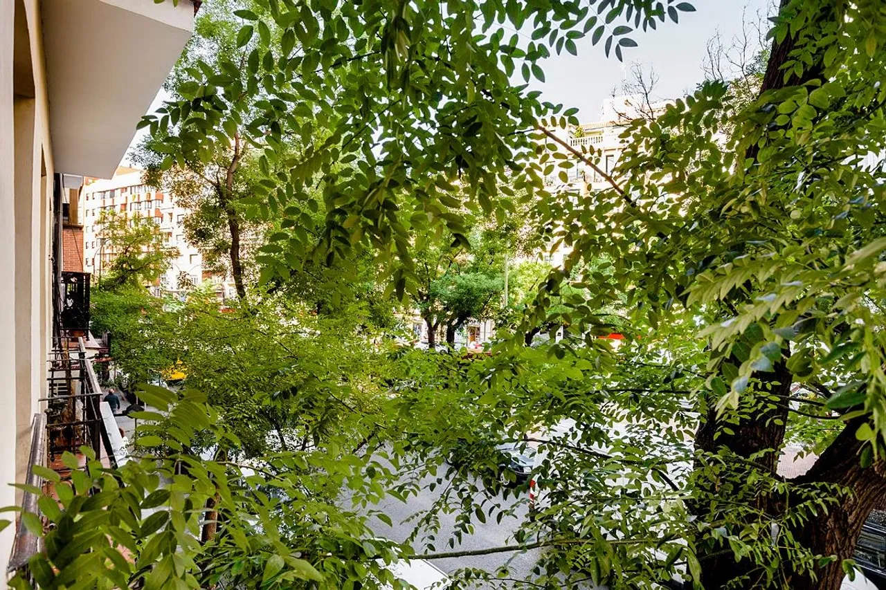 living - Piso de 91m² en alquiler en Almagro, Madrid - gallery - 5