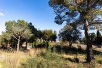 living - 2,013m² plot for sale in Cabrils, Barcelona - gallery thumbnail - 5