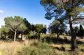 living - Parcela de 2.013 m² en venta en Cabrils, Barcelona - gallery thumbnail - 5