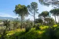 living - Casa / villa de 442m² en venta en Sant Andreu de Llavaneres - gallery thumbnail - 9
