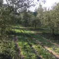 living - Masía de 590 m² en venta en Penedès, Sitges - gallery thumbnail - 8