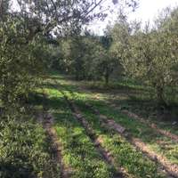 living - Masía de 590 m² en venta en Penedès, Sitges - gallery thumbnail - 8