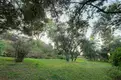 living - 1,982m² plot for sale in La Moraleja Urbanización, Madrid - Floor Plan thumbnail - 1