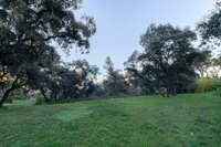 living - 1,982m² plot for sale in La Moraleja Urbanización, Madrid - gallery thumbnail - 1