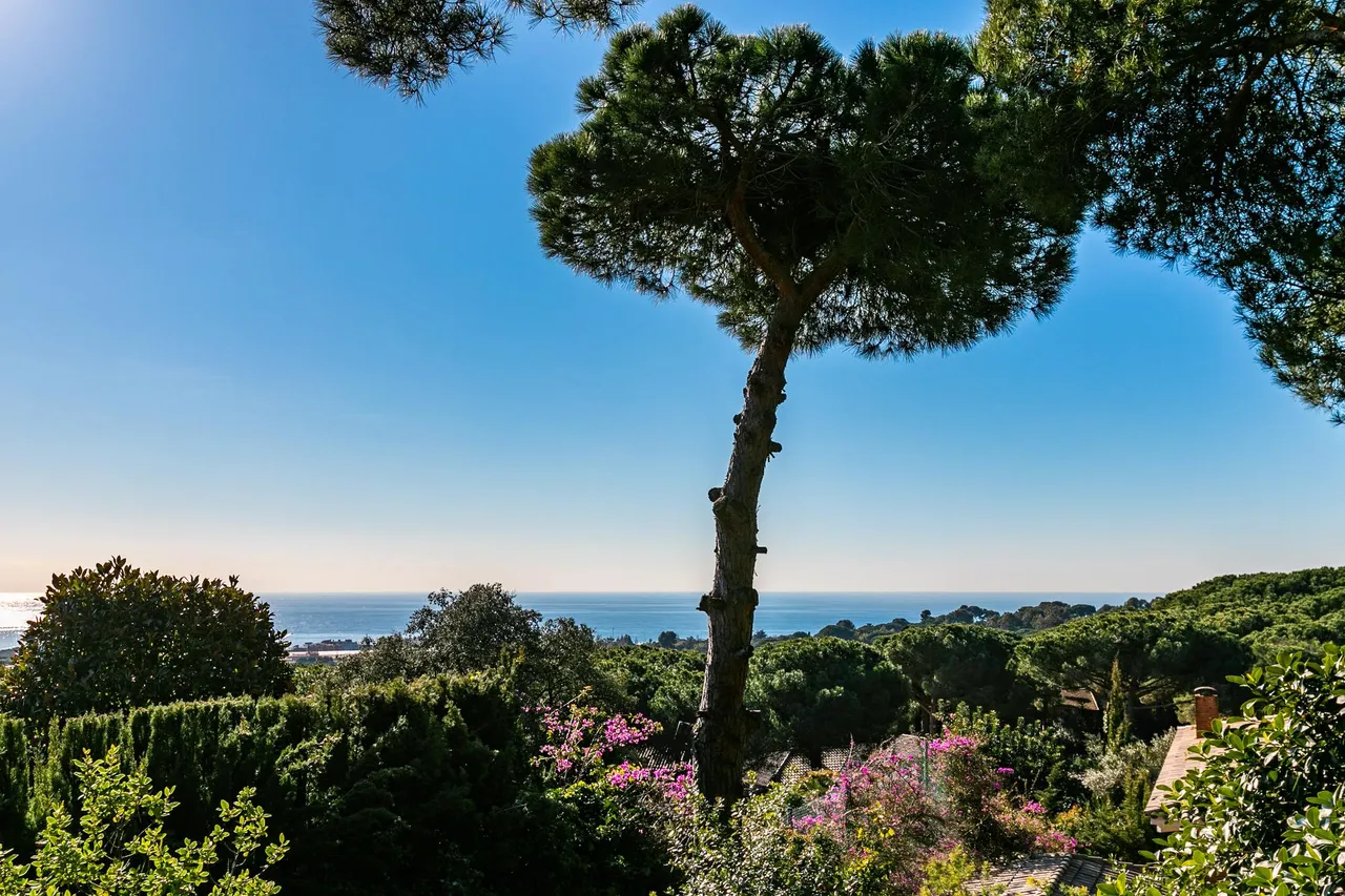 living - 2,260m² house / villa for sale in Sant Andreu de Llavaneres - gallery - 7