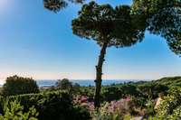 living - Finca con 2 casas en venta en Sant Andreu de Llavaneres - gallery thumbnail - 7