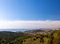 living - 842m² house / villa for sale in Alella, Barcelona - gallery thumbnail - 5