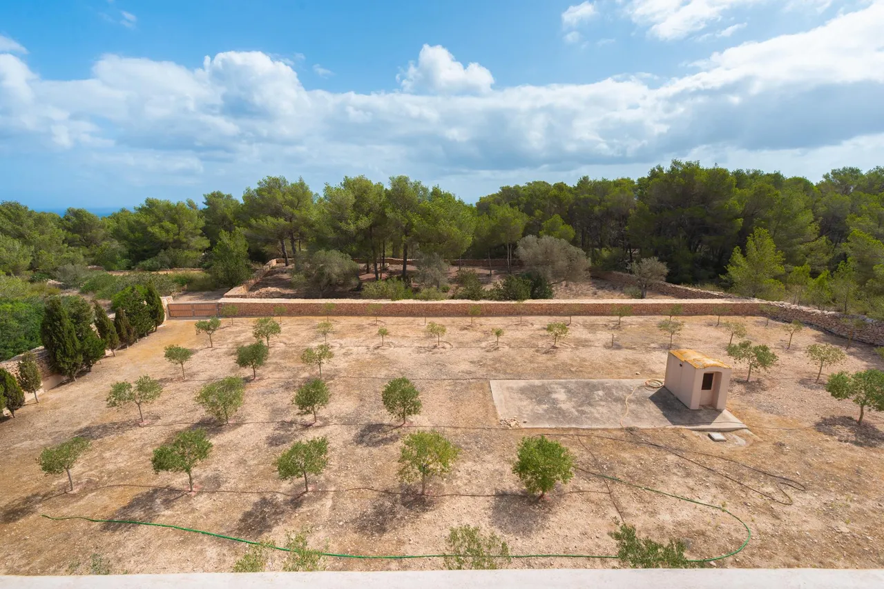 living - 218m² house / villa for sale in Formentera - gallery - 9