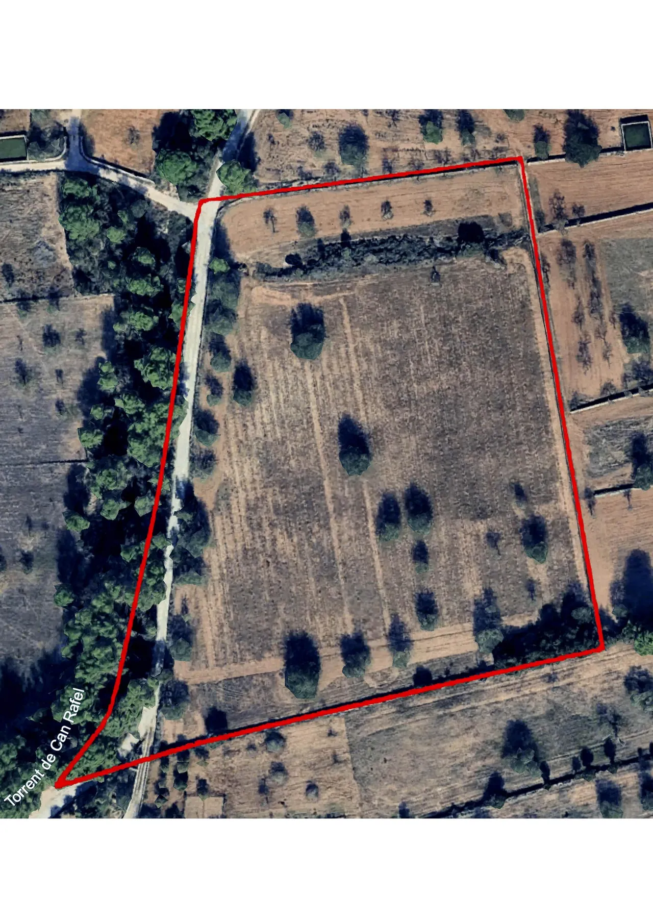living - 23,114m² plot for sale in San Antonio, Balearic Islands - gallery - 5