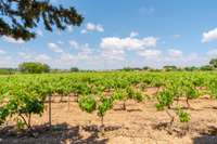living - 220m² house / villa for sale in Valencia Region, Valencia - gallery thumbnail - 1