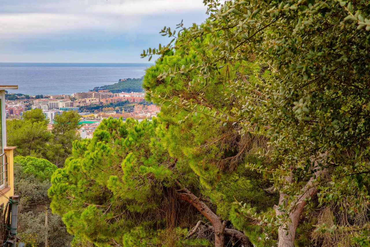 living - Parcela de 728m² en venta en Lloret de Mar, Costa Brava - gallery - 9