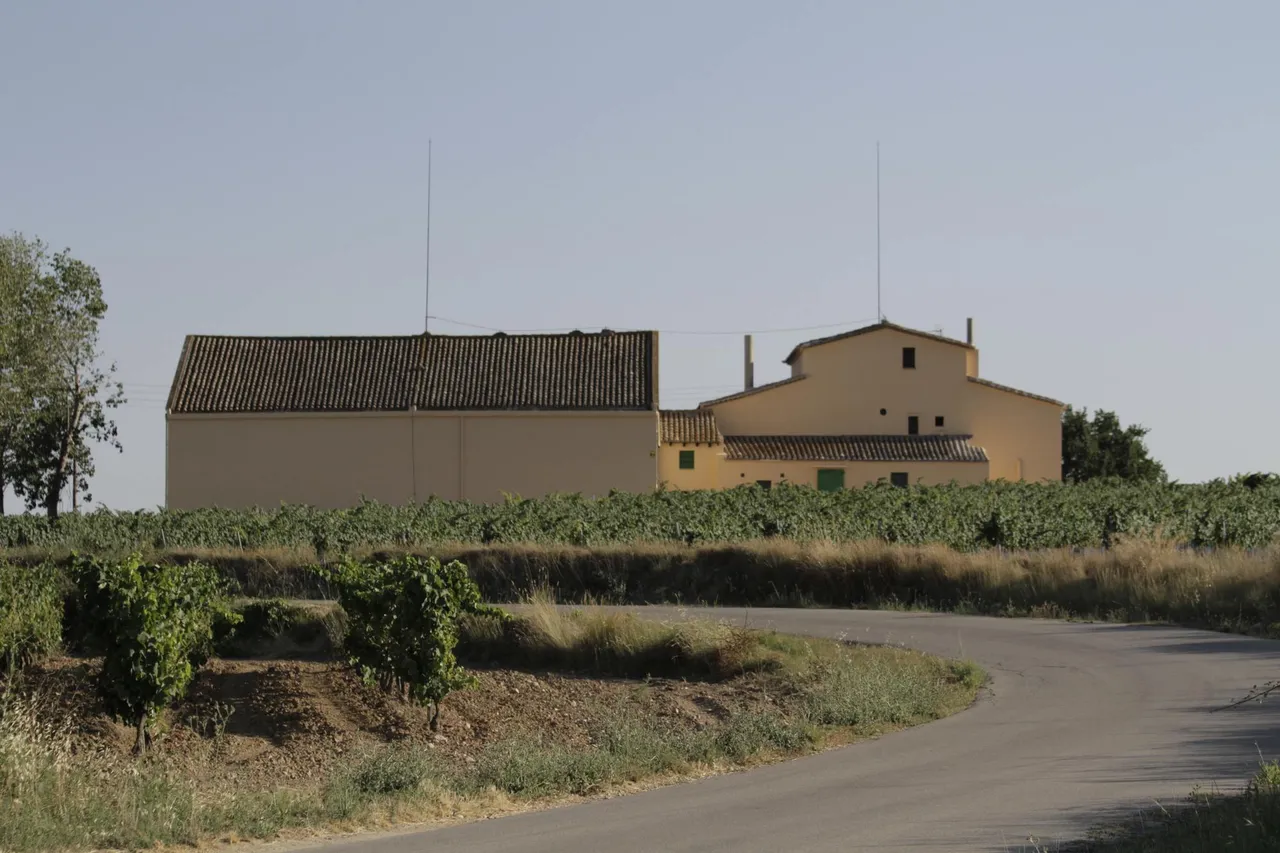 living - 1,314 m² country house for sale in Penedès, Sitges - gallery - 7
