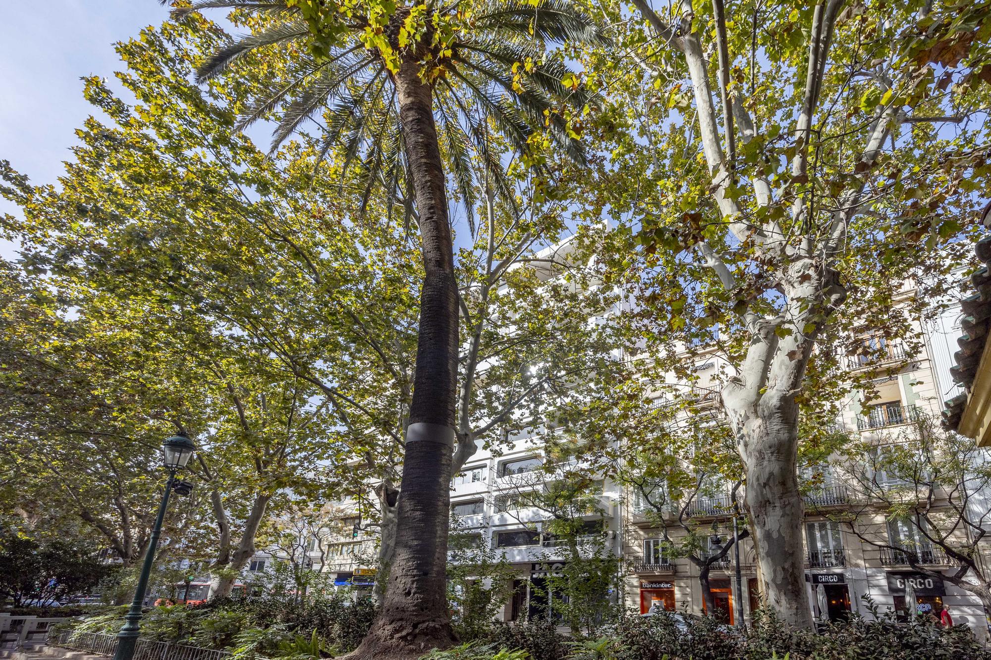 living - 147m² apartment for sale in Gran Vía, Valencia - gallery thumbnail - 9