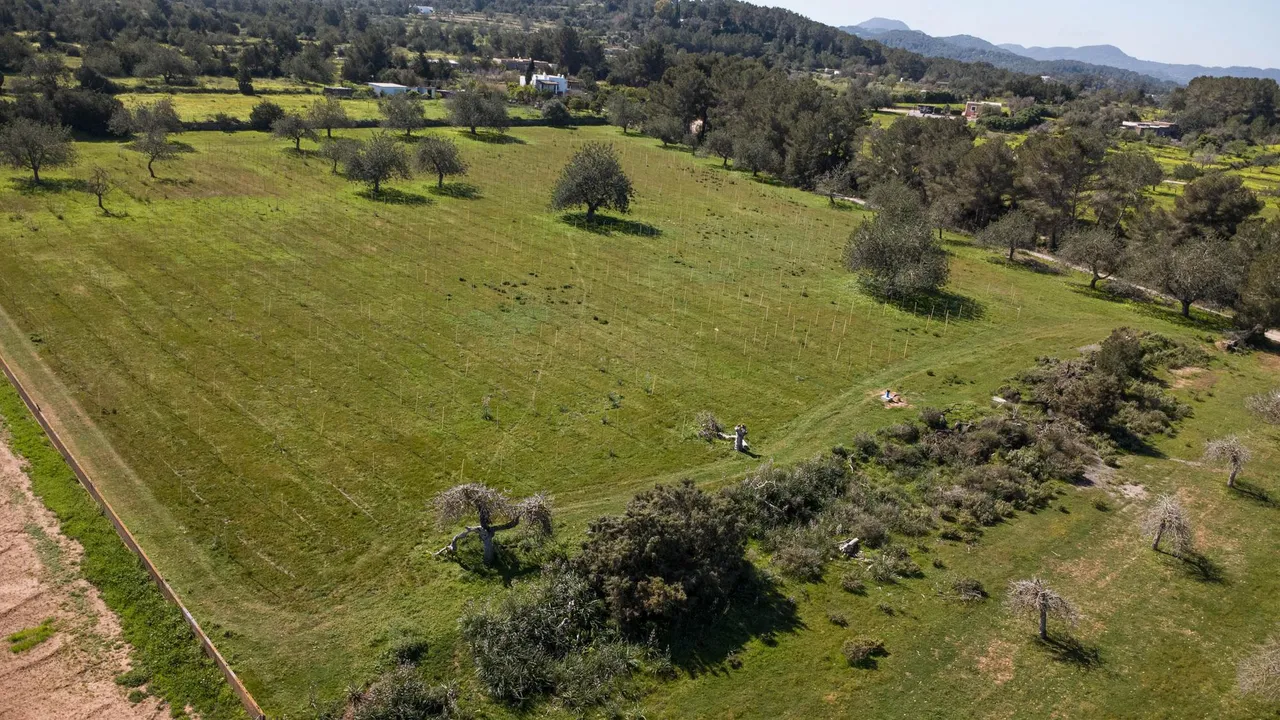 living - Parcela de 23,114m² en venta en San Antonio, Islas Baleares - gallery - 2