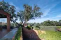 living - Casa / villa de 726m² en venta en Ciudalcampo, Madrid - gallery thumbnail - 7