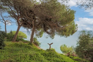 living - Parcela de 1,674m² en venta en Arenys de Mar, Barcelona - featured