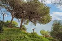 living - Parcela de 1,674m² en venta en Arenys de Mar, Barcelona - gallery thumbnail - 1