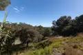 living - 1,566m² plot for sale in Premià de Dalt, Barcelona - gallery thumbnail - 8