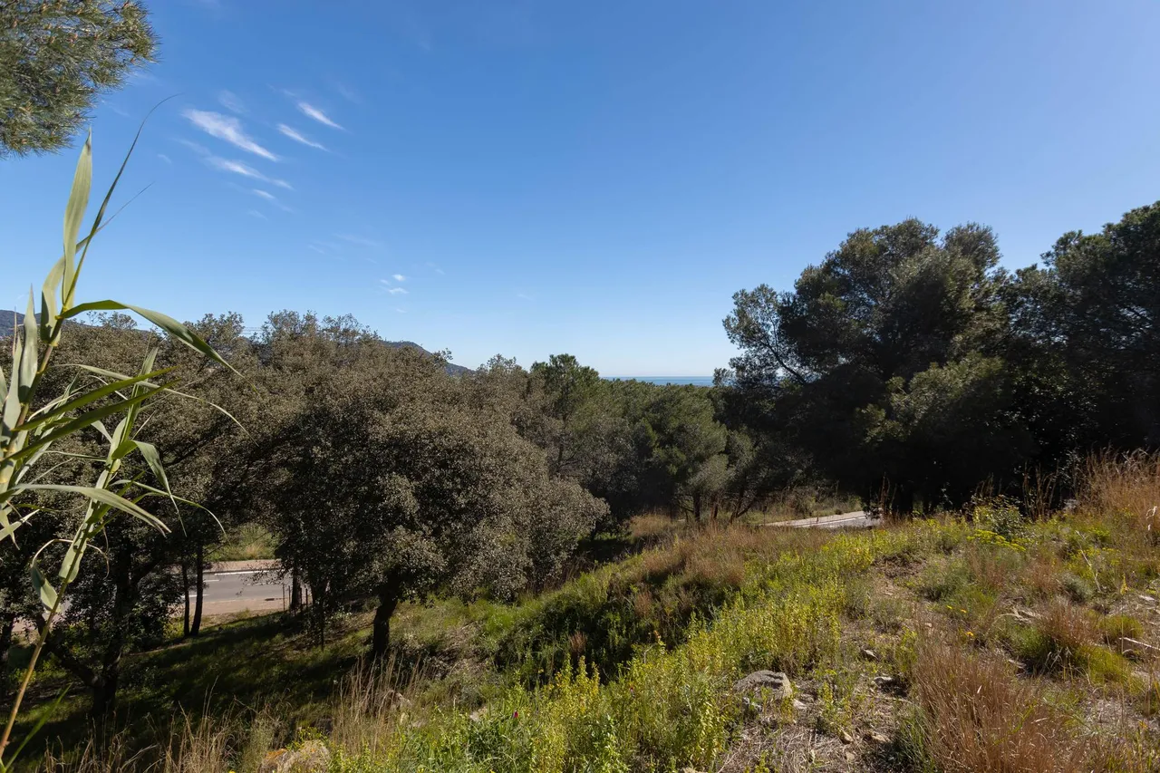 living - Parcela de 1,566m² en venta en Premià de Dalt, Barcelona - gallery - 8
