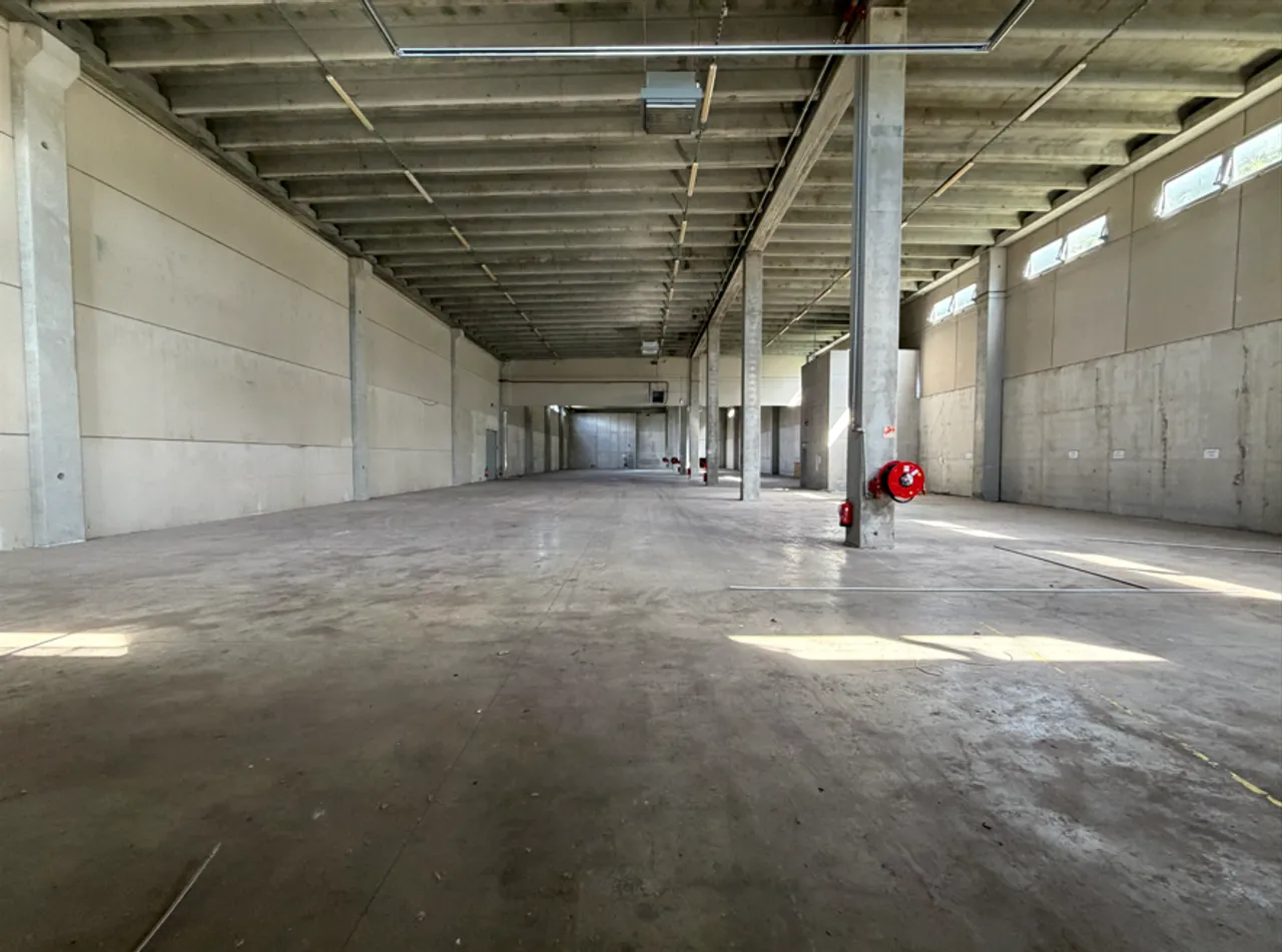 logistics - Entrepôt À Louer - gallery - 3