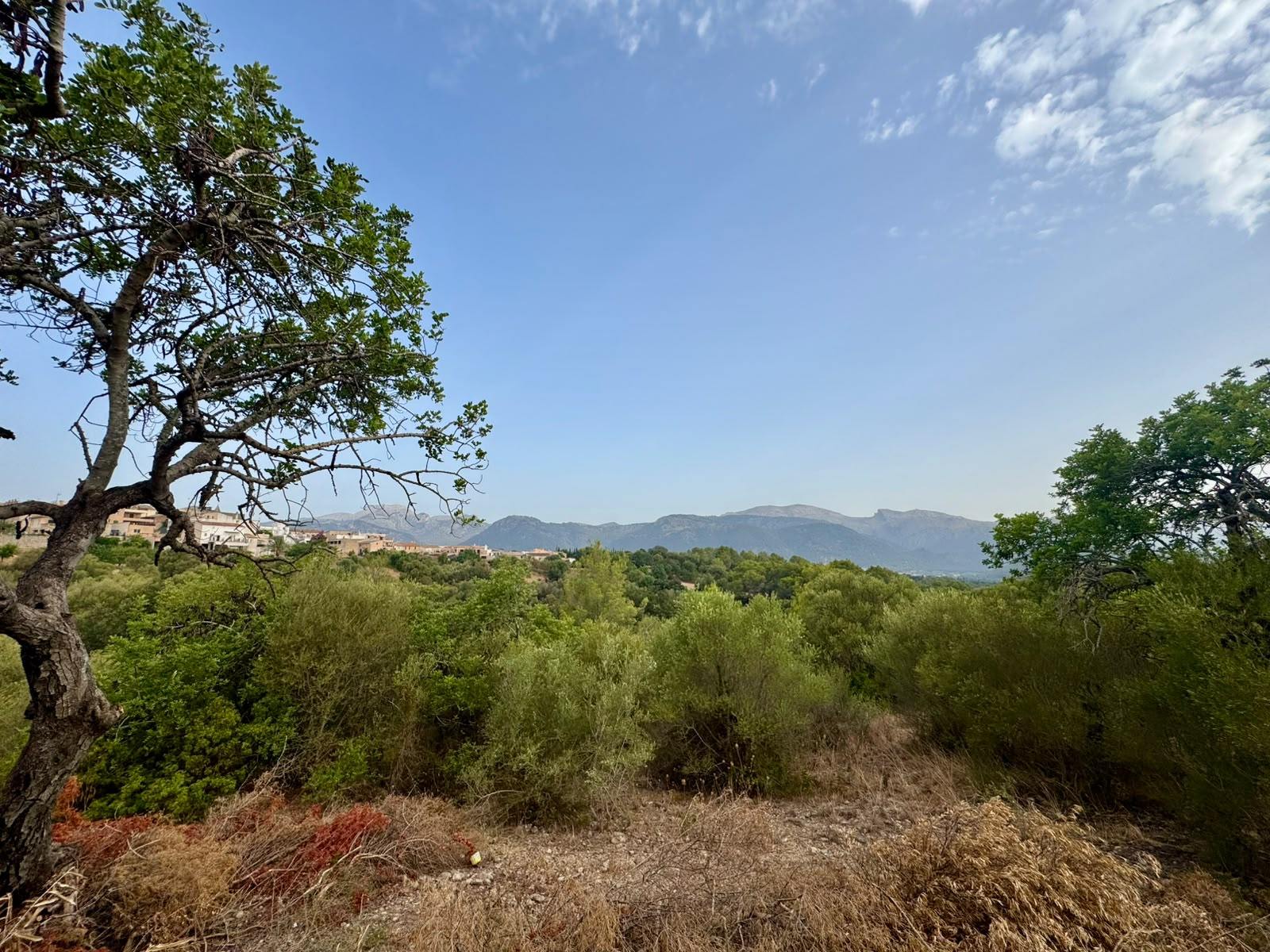 living - Parcela de 347m² con 347m² de jardín en venta en Campanet - gallery - 10