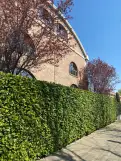 office - Morimondo 26 - Office - Dils - gallery thumbnail - 18