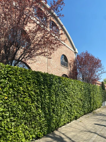 office - Morimondo 26 - Uffici - Dils - featured