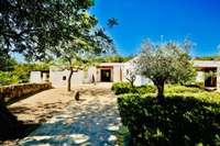 living - Casa rural de 410m² con 107m² terraza en venta en Santa Gertrudis - gallery thumbnail - 7