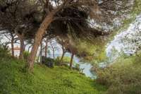living - 1,674m² plot for sale in Arenys de Mar, Barcelona - gallery thumbnail - 4
