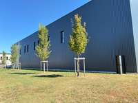 logistics - Light Industrial Premises / Offices For Rent - gallery thumbnail - 3