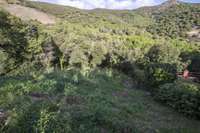 living - 650 m² plot for sale in Alella, Maresme - gallery thumbnail - 6