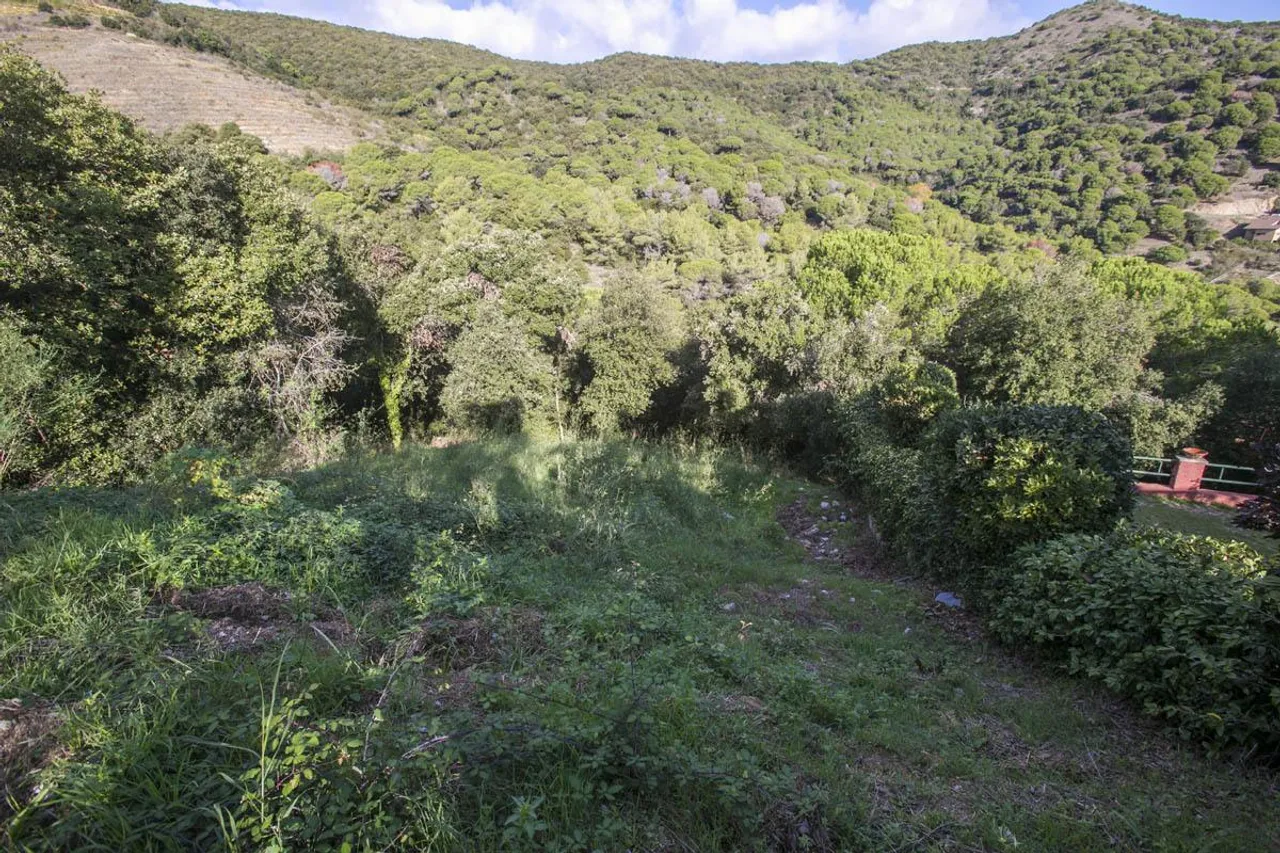 living - Parcela de 650 m² en venta en Alella, Maresme - gallery - 6