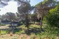 living - Parcela de 3,300m² en venta en Lloret de Mar, Costa Brava - gallery thumbnail - 5