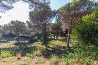 living - Parcela de 3,300m² en venta en Lloret de Mar, Costa Brava - gallery thumbnail - 5