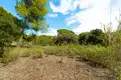 living - 2,599m² plot for sale in Sant Andreu de Llavaneres - gallery thumbnail - 6