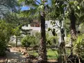 living - Casa / villa de 261m² en alquiler en Santa Eulalia - gallery thumbnail - 2