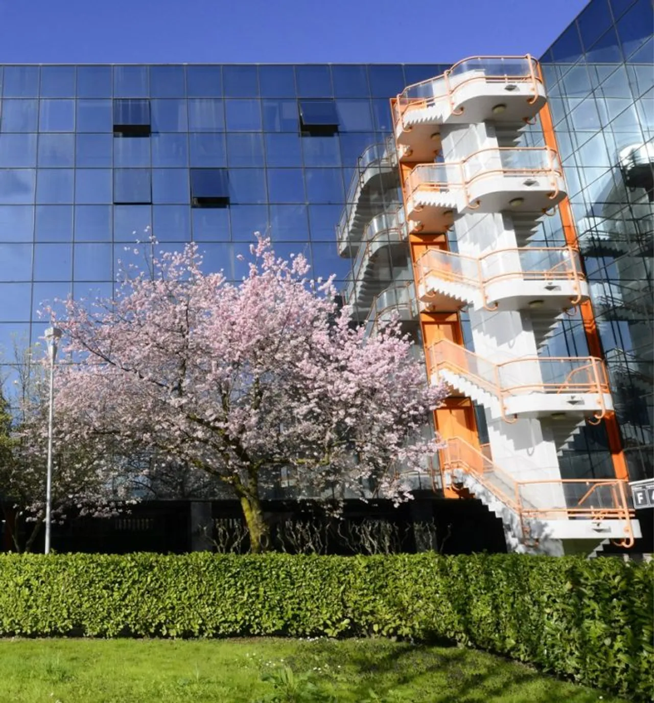 office - Assago Milanofiori - Palazzo F - Uffici - Dils - gallery - 4