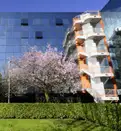 office - Assago Milanofiori - Palazzo F - Uffici - Dils - gallery thumbnail - 4
