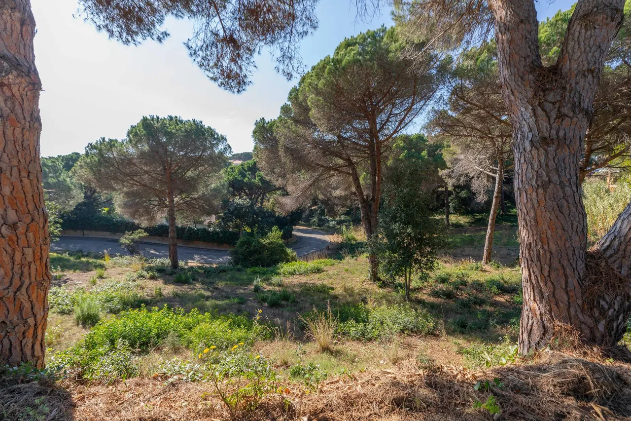 living - Parcela de 3,300m² en venta en Lloret de Mar, Costa Brava - gallery - 4